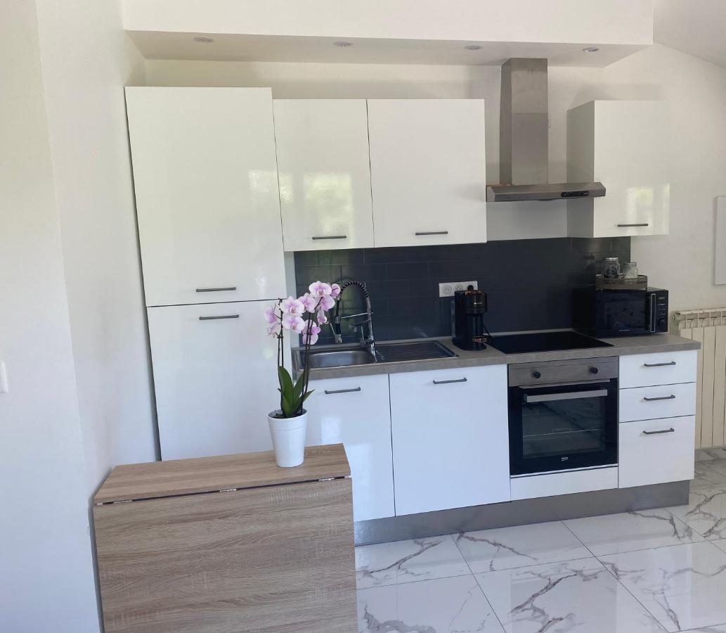 Climatisé Avec Piscine Et Jardin Appartement Villeneuve-Loubet