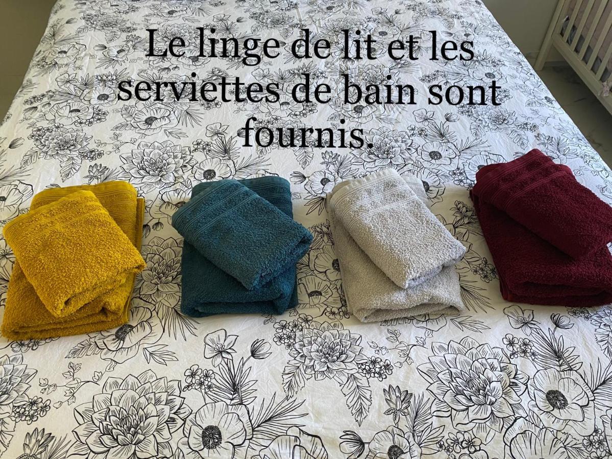 Climatisé Avec Piscine Et Jardin Appartement