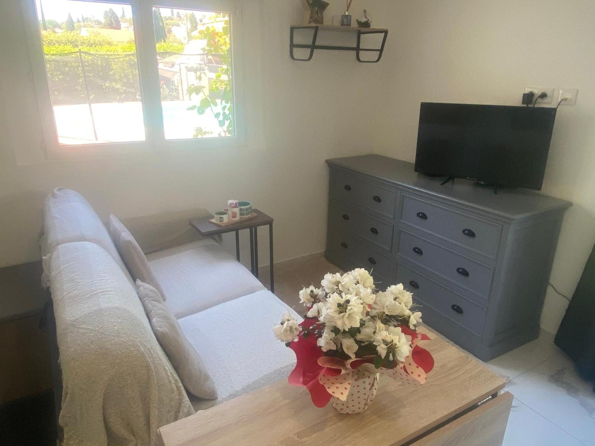 Climatise Avec Piscine Et Jardin Apartment Villeneuve-Loubet